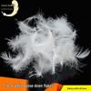 2-4cm Washed White Goose Down Feathers for Sofa Pillows and Mattresses