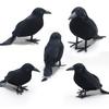 Хэллоуинский бархатистый черный ворон - Украшение для вечеринки, реквизит для футболки