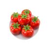 Lifelike Simulation Tomato Cute Fake Vegetables  Fruit Prop Teaching