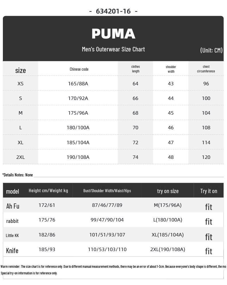 Puma Мужской повседневный спортивный комплект