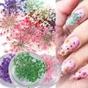 1 Box Nail Charms Non-Fading DIY Easy To Apply Exquisite Colorful Natural Flowers Art Decoration for Manicure Store
