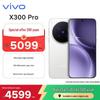 Смартфон vivo X300 Pro (Китайская версия)
