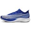 Zoom Fly 3 Голубой гонщик AT8240-400