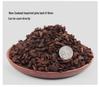 Special Fermented Pine Bark Substrate for Clivia, Phalaenopsis, and Dendrobium Orchids, New Zealand Bark for Top Dressing