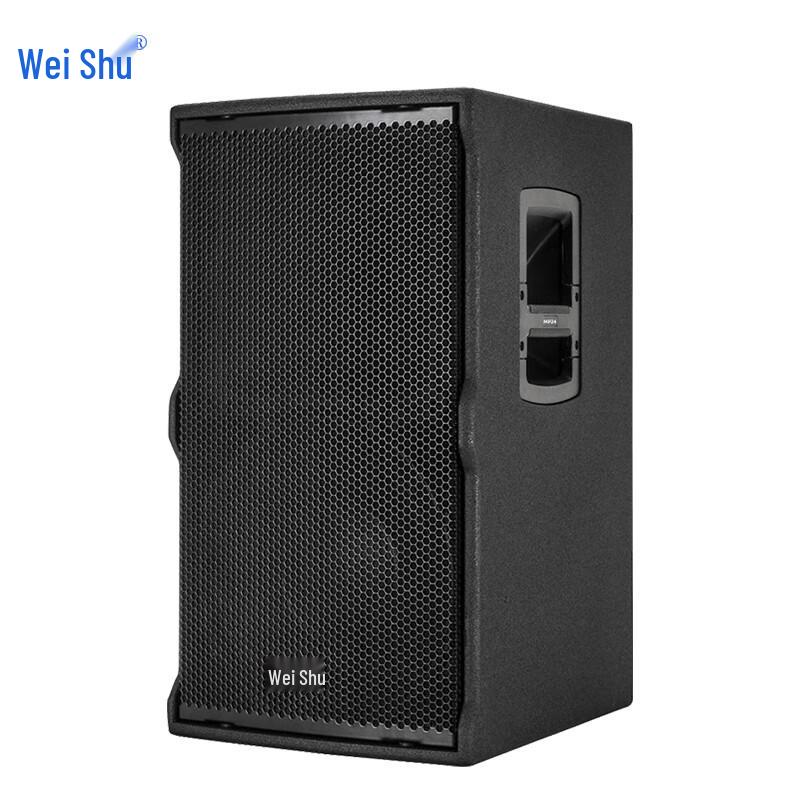 Weishu MP24 15-inch Professional Active Conference Speaker (CN version)
