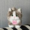 Kawaii Twisty Stick Little Cat Pendant Plush Kitten Pendant Material Package  Girls Children Toys