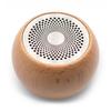 Wooden Mandela Effect Mini Speaker