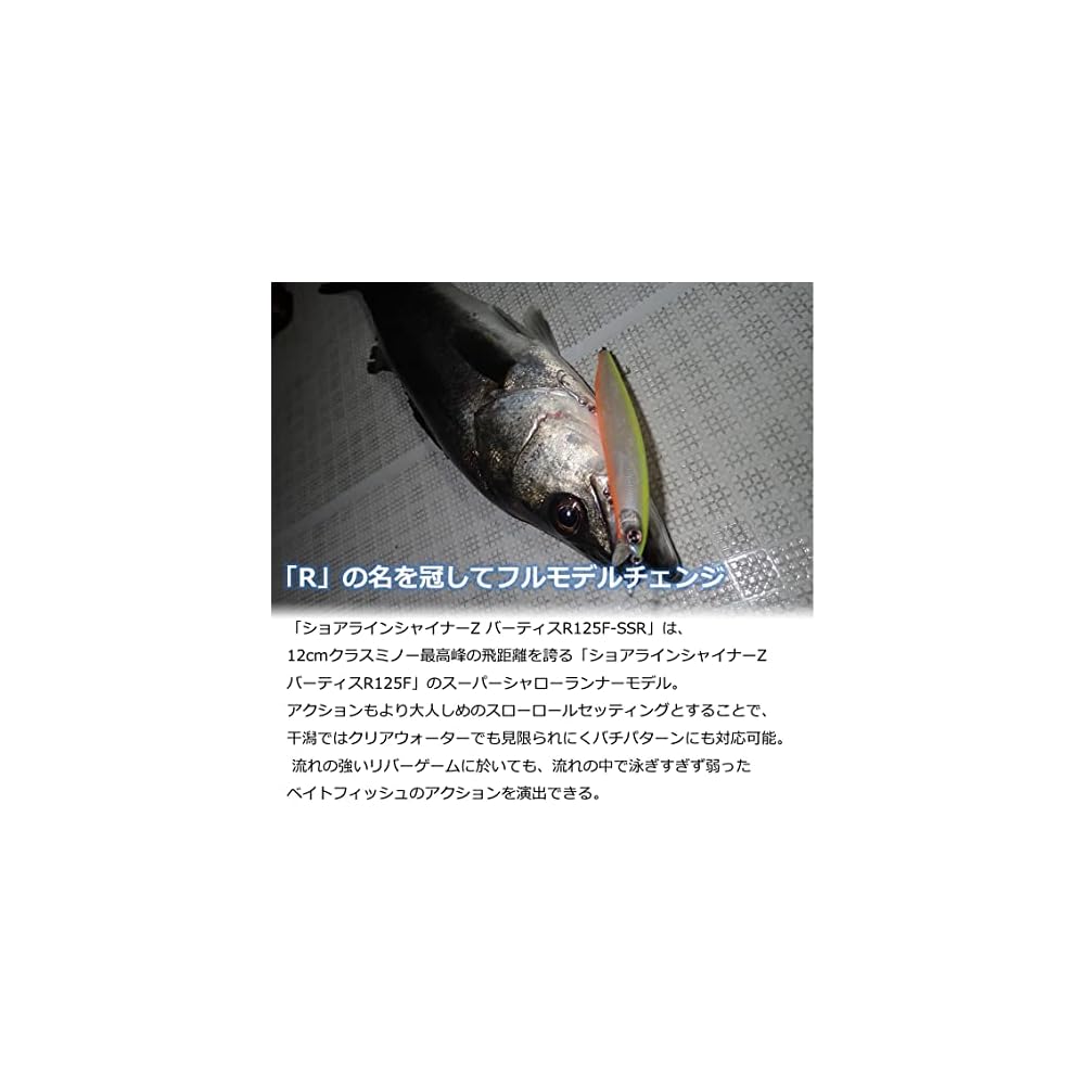 Daiwa Shoreline Shiner Z Veritas R125F-SSR 125mm Fishing Lure with Realistic Design and High Durability