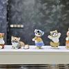 Animal Cat Series 2 Cat Figure 5 Piece Set Animal Display Decoration Keyring Gift, Popular Toys In Korea