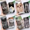 British Shorthair Cat Case For Realme C55 C33 C31 C35 C30 C11 C15 C25s C21Y GT Neo 5 3T 2T 8 9 10 11 Pro Plus