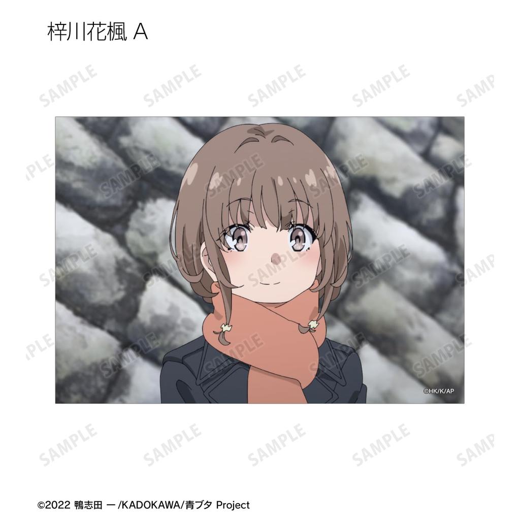 Негодник не мечтает о девушке, которая видит сны, Коллекционный набор бромидов со сценами, 12 штук