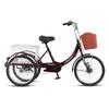 Flying Pigeon 20-inch Adult Cargo Tricycle