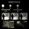 Nicron N8F Rechargeable Focus Slim Tactical 1000 Lumens Light,