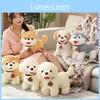 Husky Siberian Shiba Inu Plush Toy Cute Pet Dog Children Doll Gifts Holiday