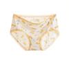 Ice Silk Underwear Ladies Seamless Girly Briefs Mid-waist Plus Size Cute Printed Lace Panties