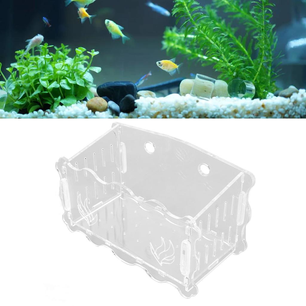   Plant Cup Acrylic Transparent Permeable Hole   Safe   Plant Pot with Suction Cup for Fish  