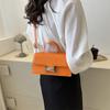 2024 осень и зима новая популярная простая сумка-мессенджер повседневная сумка через плечо модная популярная нишевая сумка женская