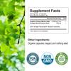 Ginkgo Biloba - Brain Health, Mind & Memory Circulation, Metabolism Booster