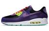 Air Max 90 Violet Blend CZ5588-001