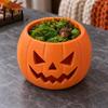 Halloween Table Centerpiece Pumpkin Face Succulent Planter, 3D Printed Jack O Lantern Flower Pot, Creative Micro Landscape Base Theme Seasonal