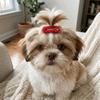 10Pcs Mixed Colors Dog Hair Clip Organza Bow Pet Head Flower Dog Grooming Clip  Daily Wear