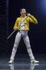 TAMASHII NATIONS Freddie approximately PVC ABS painted action figure S.H.Figuarts Mercury, 140mm, &