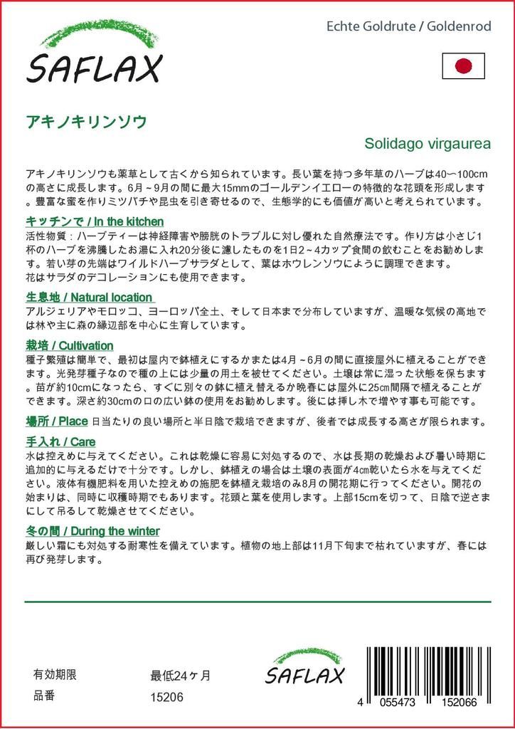 SAFLAX Garden in the Bag - Золотарник - 100 семян - С субстратом в подходящем пакете-стойке - Solidago virgaurea