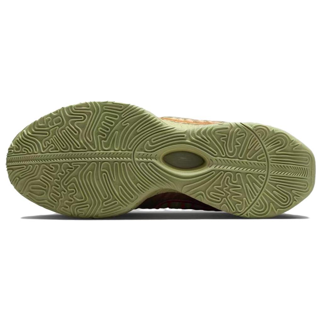 Новые Nike LeBron 21 Ep 'Queen Conch' FN0709-800