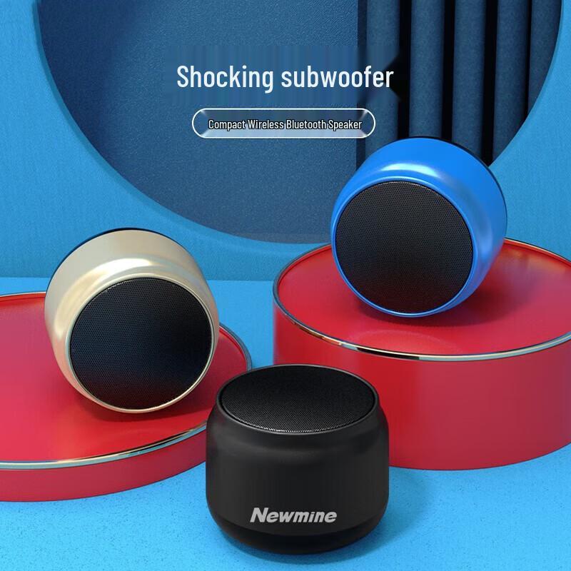 Портативная Bluetooth-колонка Newmine BT31, штекер CN (адаптер в комплекте)