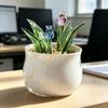 Ручная работа Стеклянные суккуленты Горшечное растение Скульптура Реалистичные искусственные суккуленты В горшке Декор для дома Акцент Подарок на новоселье 55KF
