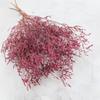 Suszony Zatrwian Szerokolistny - Limonium Latifolium - Barwiony - Różowy