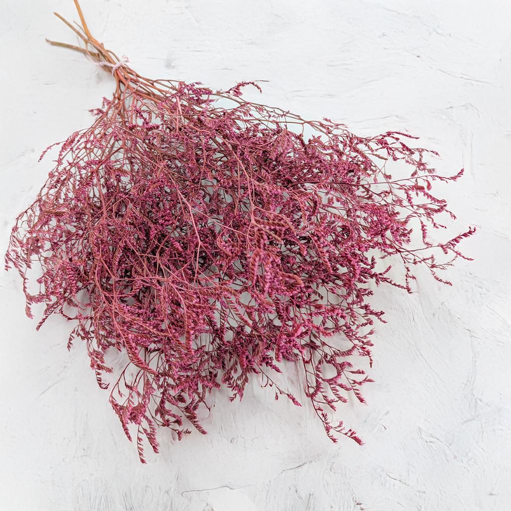 Suszony Zatrwian Szerokolistny - Limonium Latifolium - Barwiony - Różowy