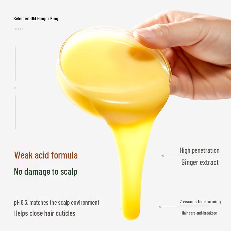 Qinyie Ginger Anti-Hair Loss & Nourishing Shampoo