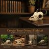 Creative 3D Skull Reptile Cave Hollow Out Reptile Climbing Shelter  Aquariums Enthusiasts