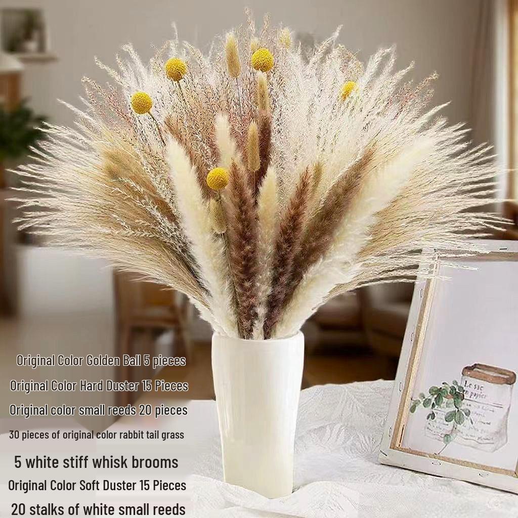 Preserved Rabbit Tail Grass Bouquet - DIY Dried Flower Decoration with Pampas Grass