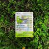 6-Step Oil Pastel Landscape Painting Guide