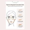 The Saem Cover Perfection Tip Concealer #Clear Beige 6,5gr