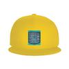 Кепки Snapback AIRBUS A320 Панель над головой Модные Бейсболки Дышащие Повседневные Кепки для улицы для унисекс