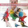 Bird Static Macaws Parrot Model Figurines For Collection Educational&Decoration
