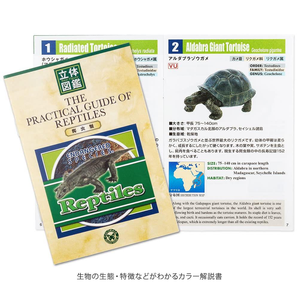 Фигурка рептилии Carolata 3D Энциклопедия Крокодил 8 видов с реалистичной фигуркой Коробка Игрушка Обучающая игрушка Подарок Еда Санитария Закон Рождество