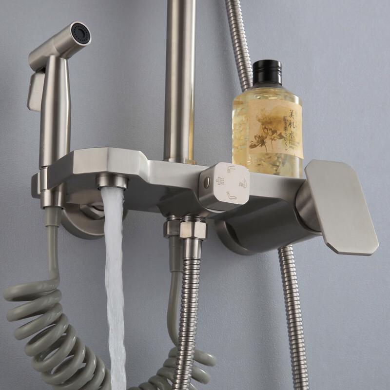 TLXT Stainless Steel 4-Function Shower System