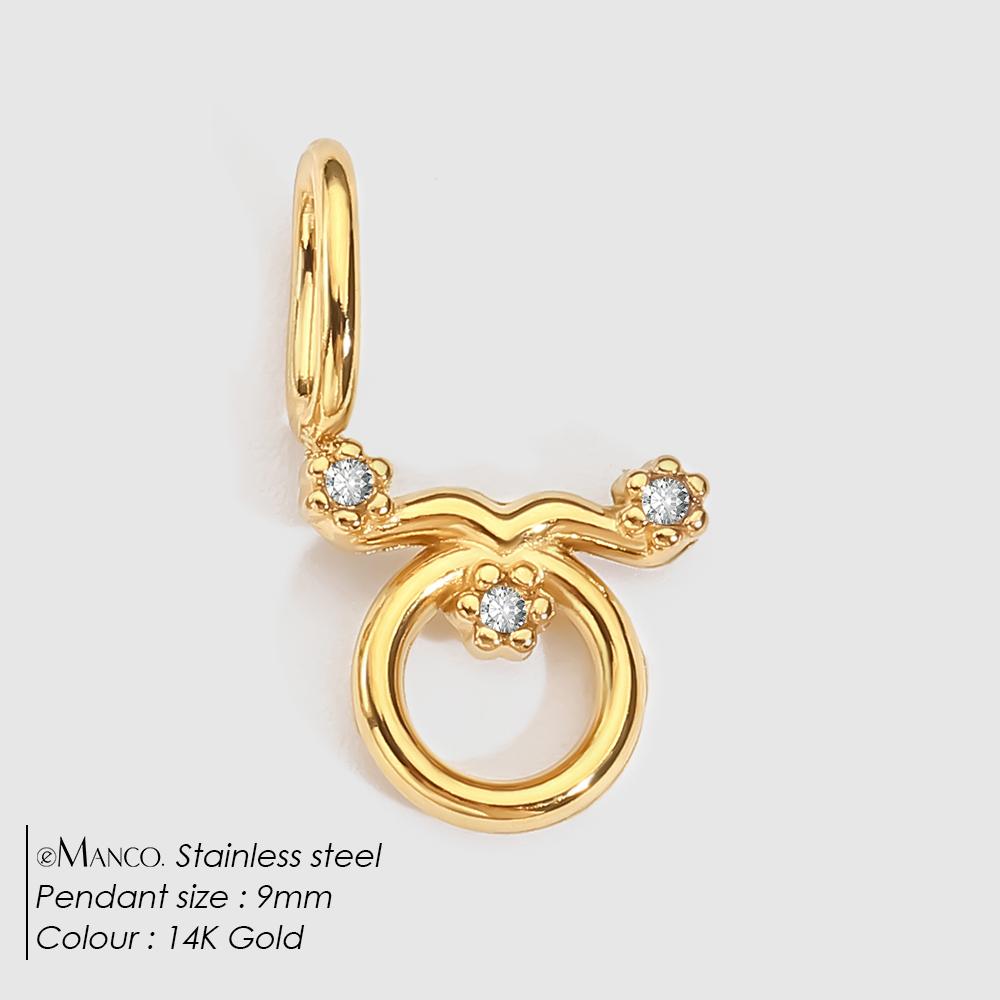eManco Stainless Steel Star Zodiac Sign 12 Constellation Pendant Accessories for Necklace Women Man Jewelry Gifts