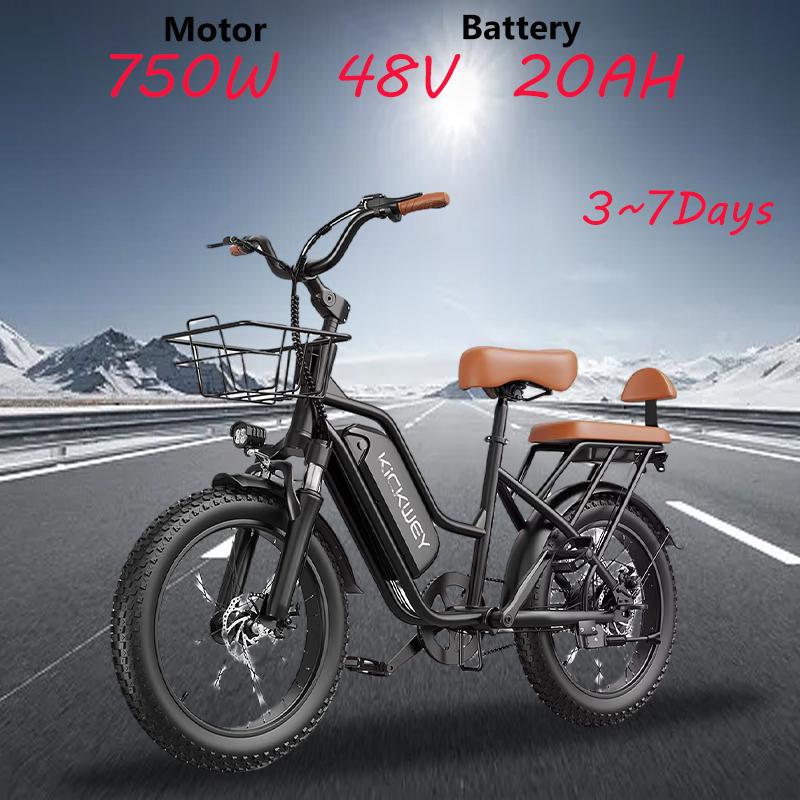 2026 best-selling LD20 electric assisted female 750W 48V 20AH lithium battery male and female adult urban electric bicycles