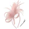 Formal Dress Feathers Mesh Headband Retro Fascinator Headdress  Masquerade Party