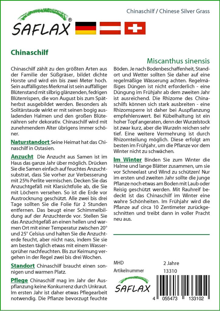 SAFLAX Китайская серебристая трава - 200 семян - Miscanthus sinensis