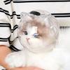 Breathable Cat Bubble Muzzle Anti-Bite Cat Head Cover Protective Pet Space Hood  Grooming