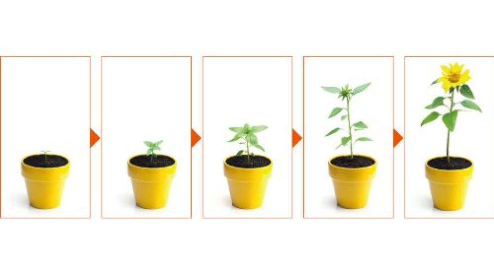 Интервальный рекордер King Jim Recolo IR7 White