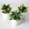 Artificial Succulent Flocking Pine Cone Potted Green Plant Combo - Simulation Flowers, 10 Grass - Amazon Cross-Border