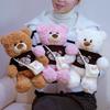 Cute Cute Dressed Bear Doll Plush Toy Cuddle Bear Teddy Bear Doll Children Soothing Doll
