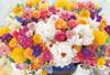 1000-piece Jigsaw Puzzle: A Bouquet of Seven Colorful Flowers That Brings Happiness (49x72cm)